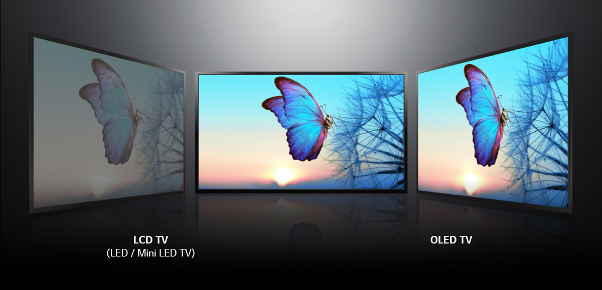 세 개의 화면이 왼쪽, 정면 오른쪽에 각각 있고, 왼쪽에서부터 오른쪽 TV쪽으로 갈수록 푸른 계열의 나비가 날고 있는 화면이 더 선명해진다.