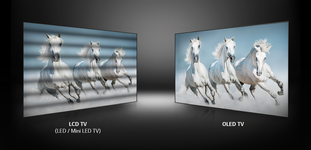 두 개의 화면에서는 동일하게 세  마리의 백마가 달리는 모습이 나오는데, LCD TV는 중간중간 회면이 깜빡이는 반면, OLED TV는 그러한 현상이 없다.